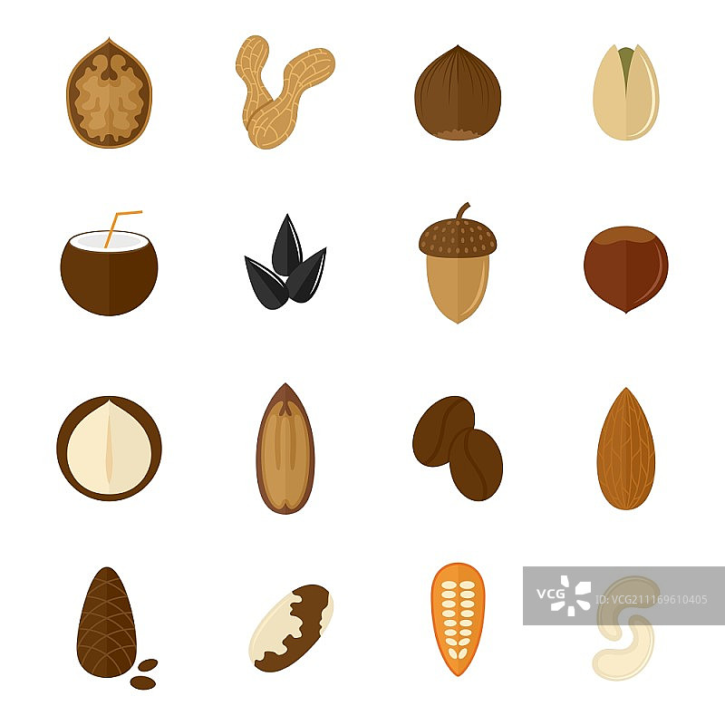 扁平风格的杏仁榛子椰子葵花籽和坚果素材图片素材