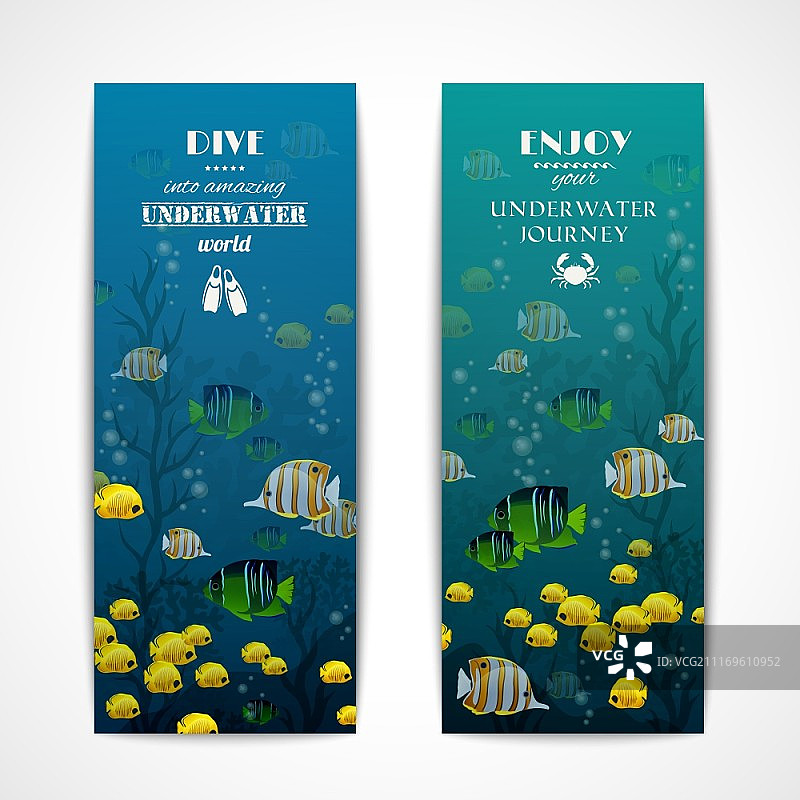 水肺潜水竖版banner，水下鱼类矢量素材图片素材
