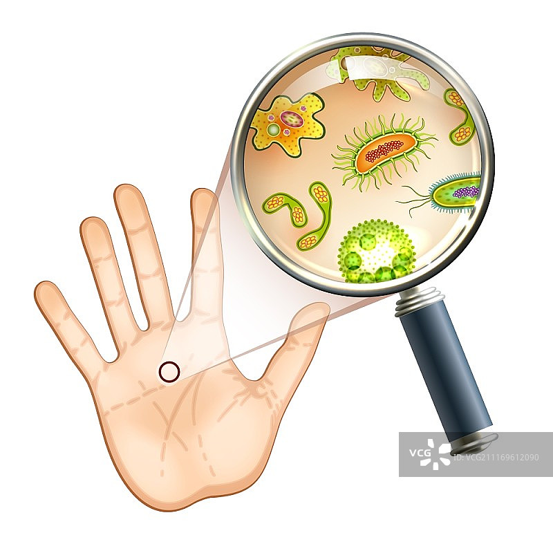 手掌上的放大镜、细菌和病毒细胞矢量图图片素材