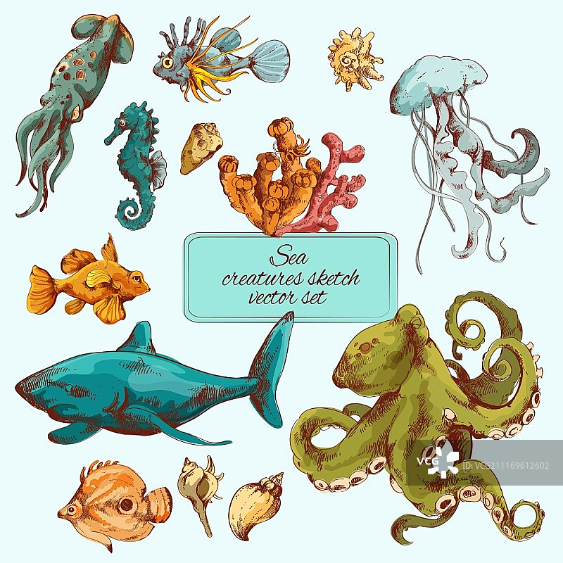 海洋鱼类生物素描彩色装饰图标矢量图图片素材