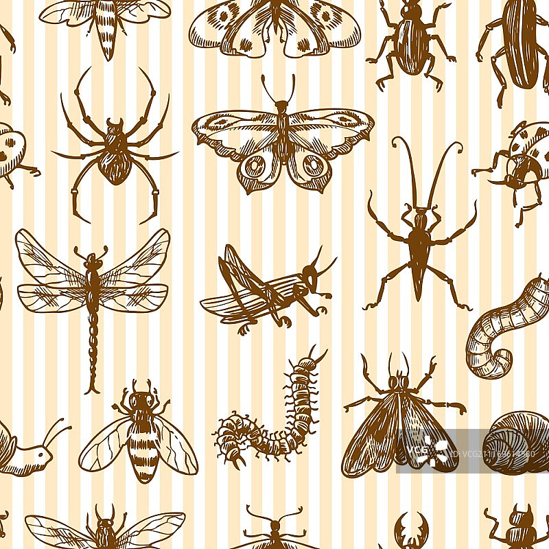 昆虫单色装饰无缝图案，蜗牛蚱蜢蜈蚣矢量图图片素材