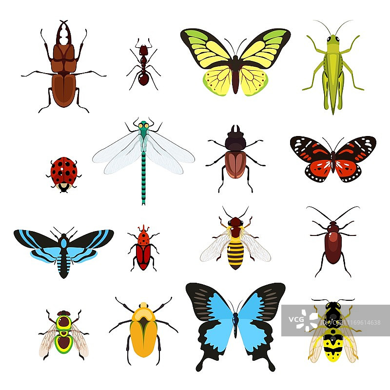 彩色昆虫装饰图标，包含蜻蜓、甲虫和蝴蝶等矢量插图图片素材