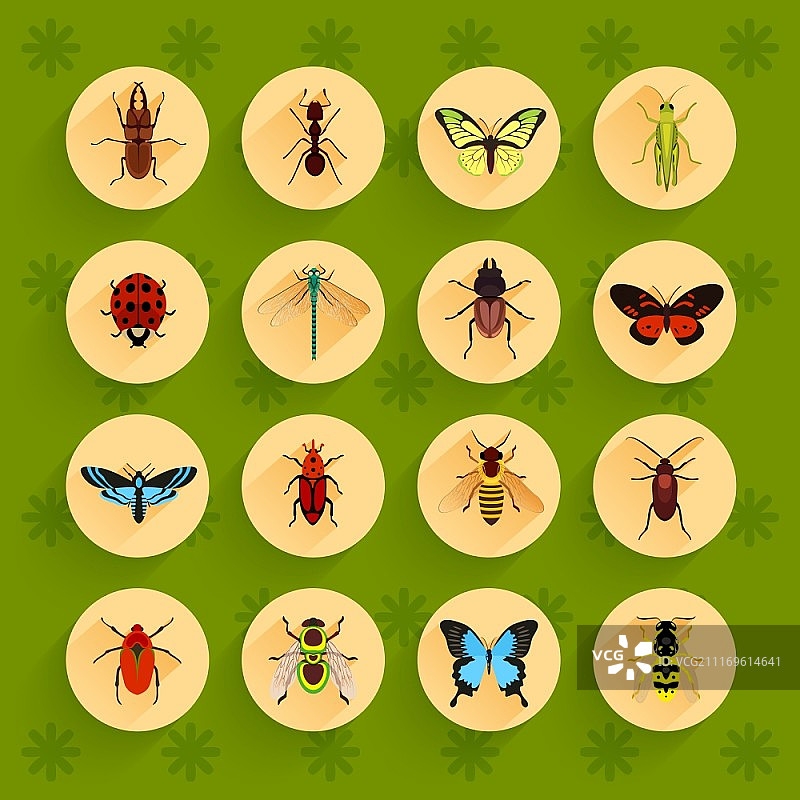 昆虫圆形扁平图标矢量素材图片素材