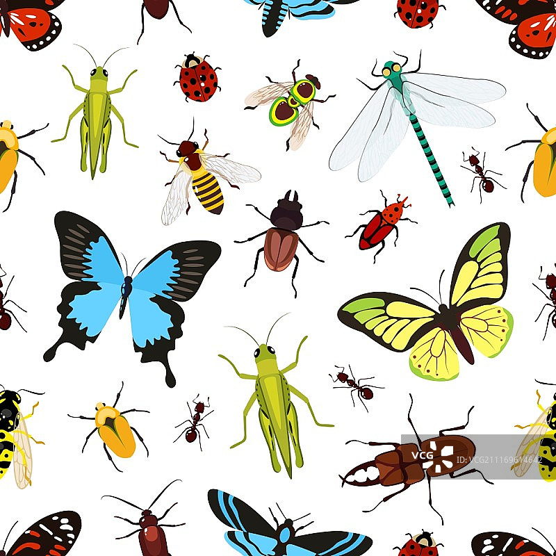 昆虫彩色无缝图案，含蚱蜢黄蜂蝴蝶矢量图图片素材