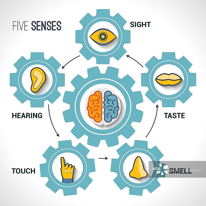 具有人体器官图标和齿轮中大脑的五种感官概念矢量图图片素材