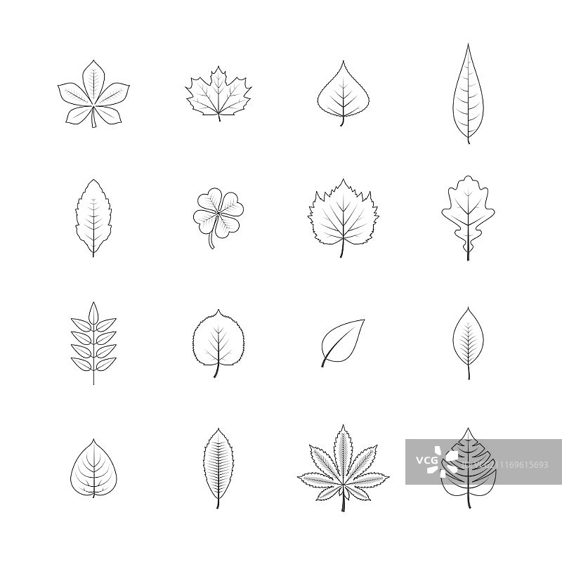 森林树木生态元素线性图形图标，枫树橡树白杨叶黑色孤立矢量素材图片素材