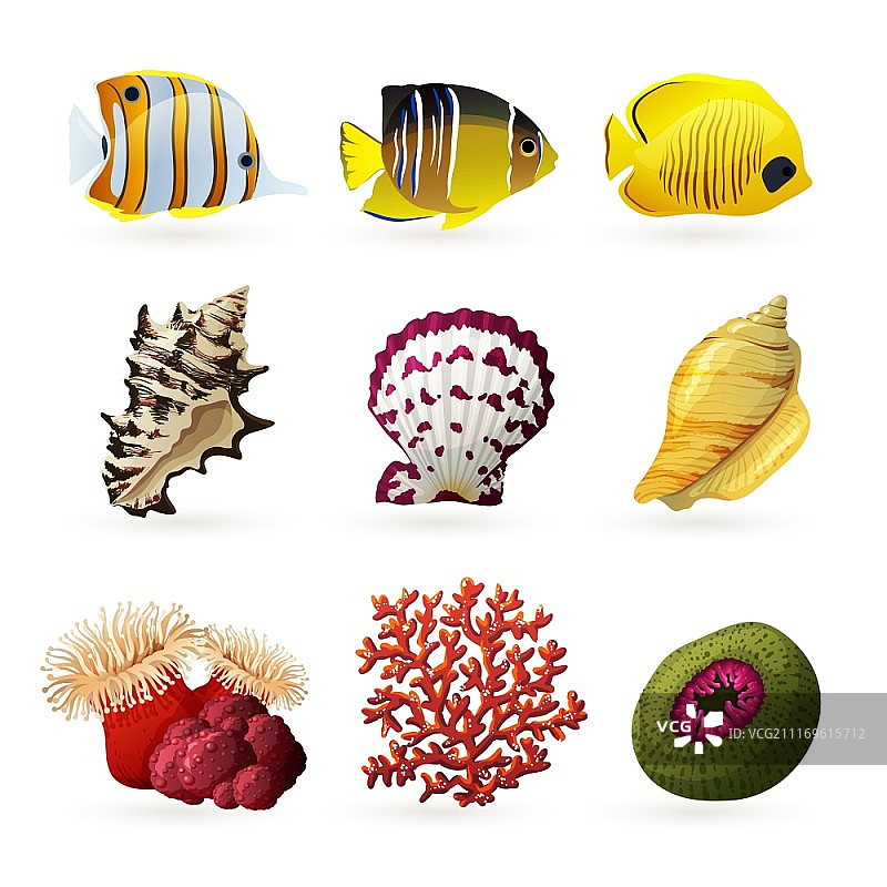 以鱼、贝壳和珊瑚为特色的海洋生物装饰彩色图标集矢量图图片素材