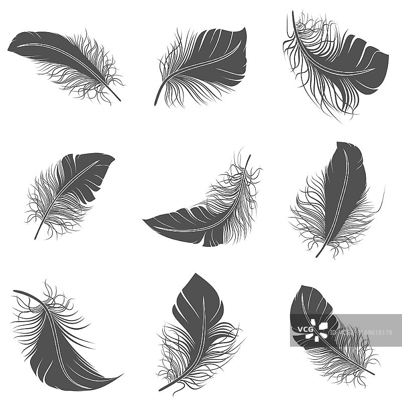 黑色鸟羽书法文学装饰图标矢量图图片素材
