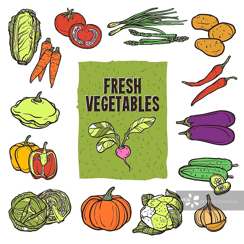 蔬菜速写图标合集：包含花椰菜、芦笋、卷心菜和大蒜图片素材