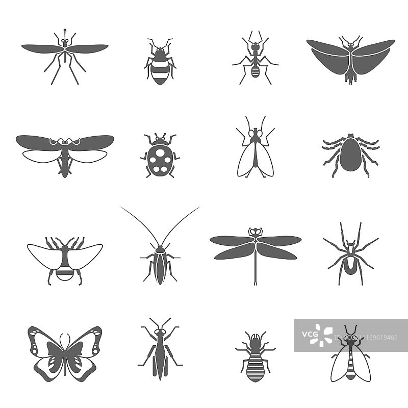 昆虫黑色图标集：蜜蜂、虫子、苍蝇、蝴蝶隔离矢量图图片素材