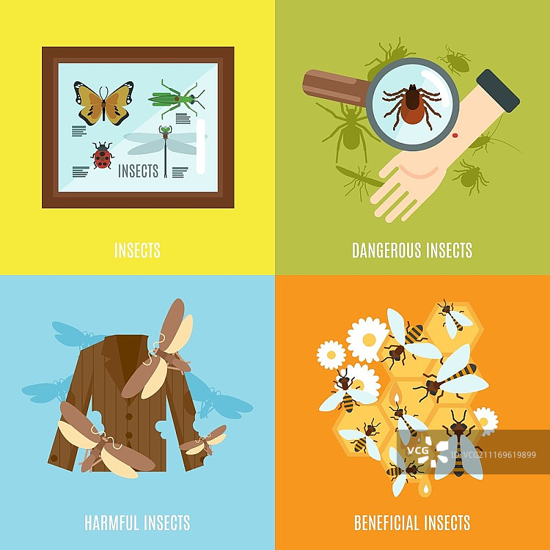 昆虫设计概念合集：有害、有益生物扁平图标矢量图图片素材