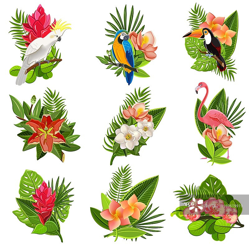 异域热带花鸟图标，绿色植物背景矢量图图片素材