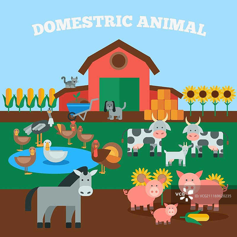 家畜概念扁平化动物图标矢量素材图片素材