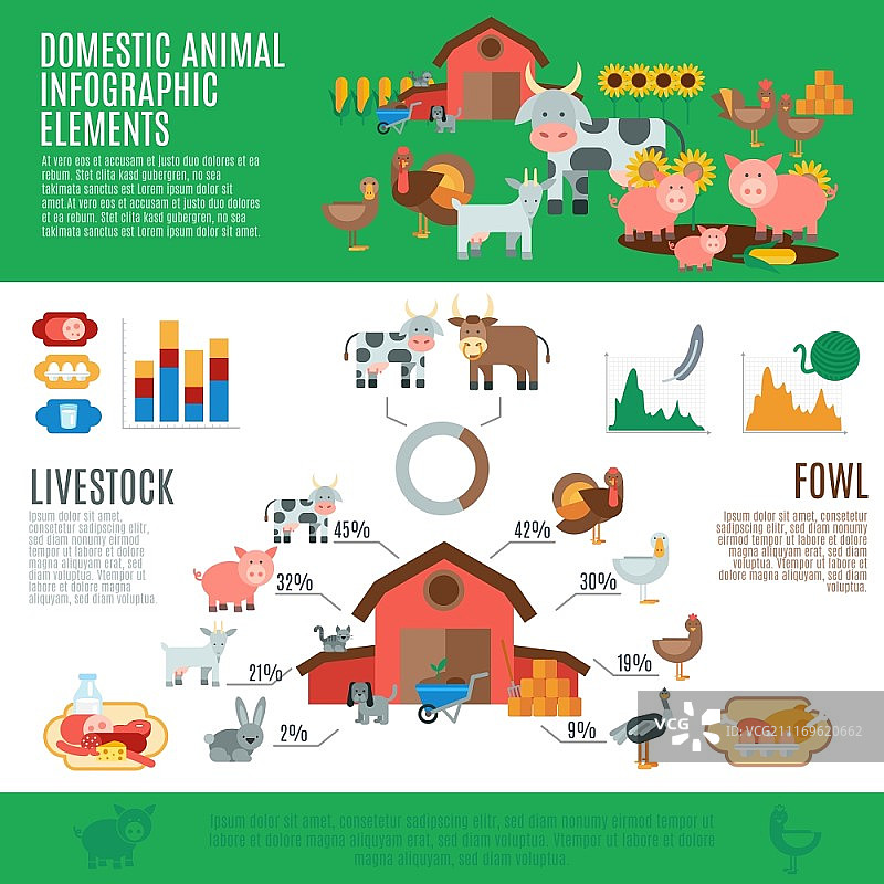 家畜元素和图表矢量插图的家养动物信息图表图片素材