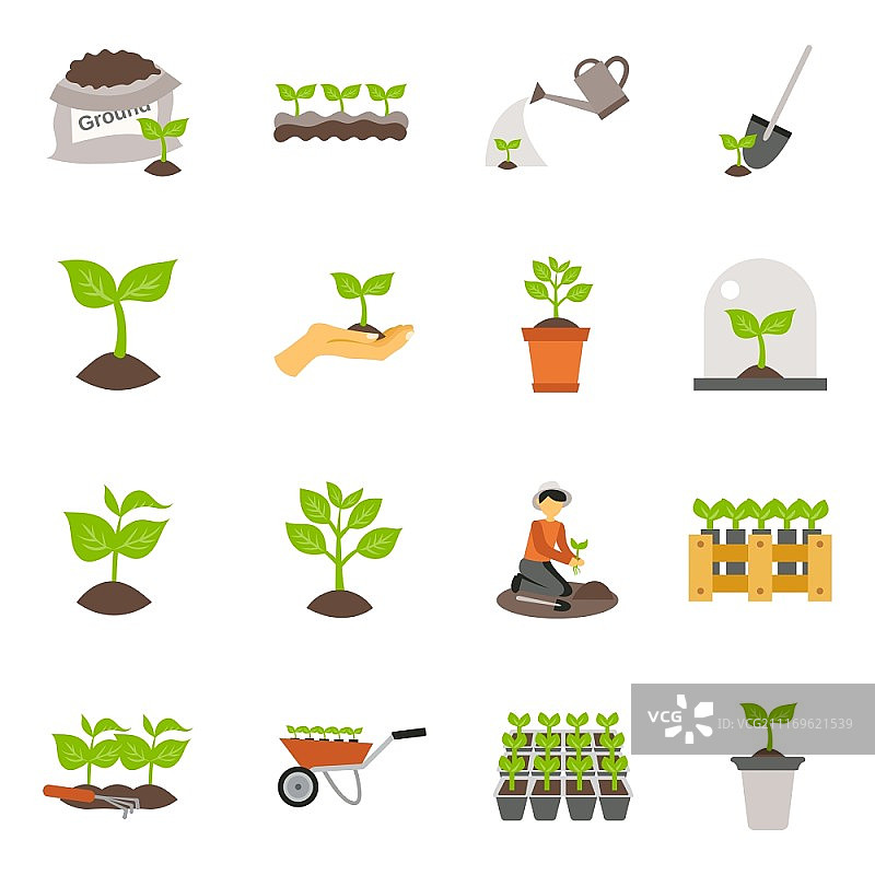 鲜花和植物幼苗过程扁平图标集矢量图图片素材