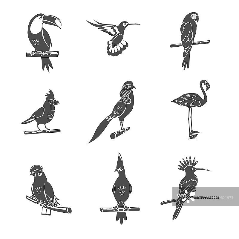 热带野生鸟类黑色剪影图标集矢量图图片素材