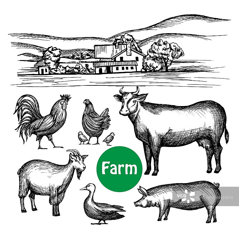 手绘农场场景素材，包含村舍和牲畜动物矢量插画图片素材