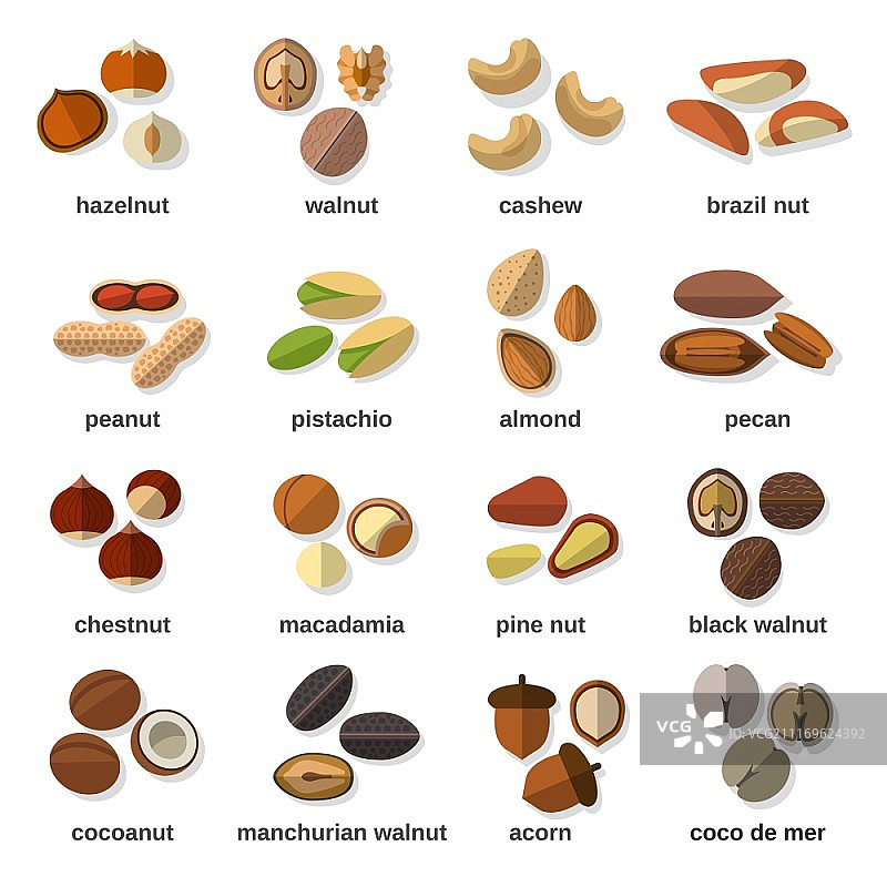 榛子、核桃、腰果、花生扁平图标集图片素材