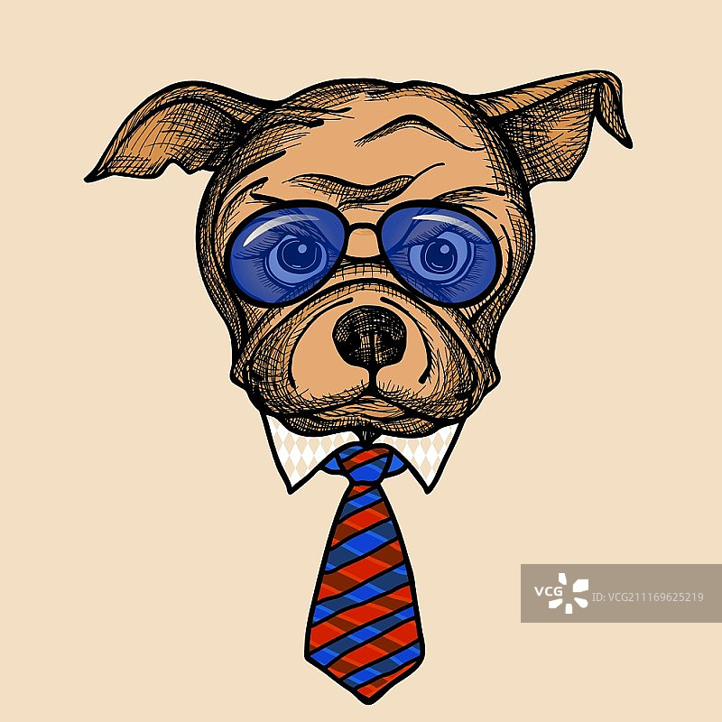 戴太阳镜和领带的时尚斗牛犬矢量肖像插画图片素材