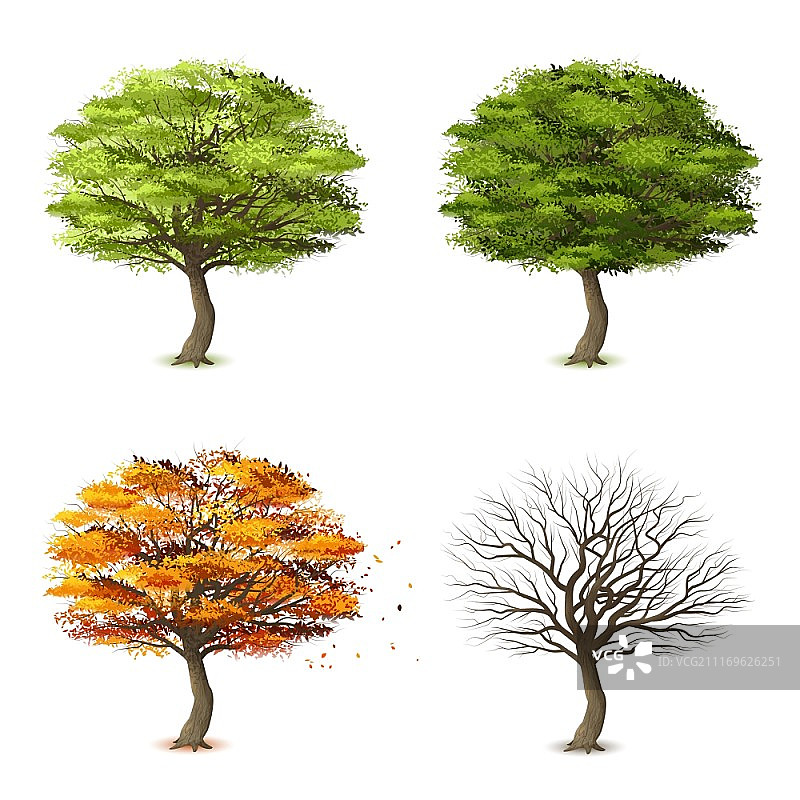 四季树木写实装饰图标矢量图图片素材