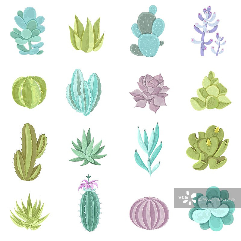 仙人掌图标集：具有尖刺的不同类型装饰仙人掌扁平隔离矢量图图片素材