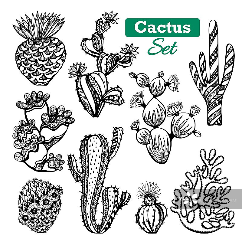 仙人掌图标合集：带刺的各种装饰性仙人掌图标黑白素描矢量素材图片素材