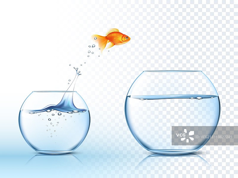 金鱼跳出水碗图片素材