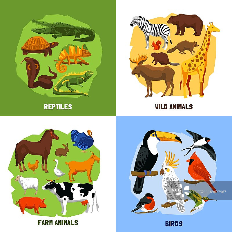 卡通2x2动物园图像图片素材