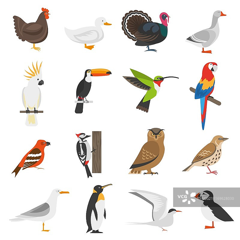 鸟类扁平彩色图标集：企鹅、啄木鸟、鹦鹉、猫头鹰、火鸡、鹅、鸡、鸭图片素材
