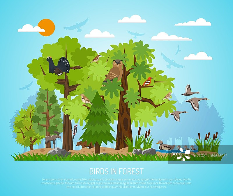 森林鸟类海报：蓝色背景下的森林、池塘、鸟类和动物图片素材
