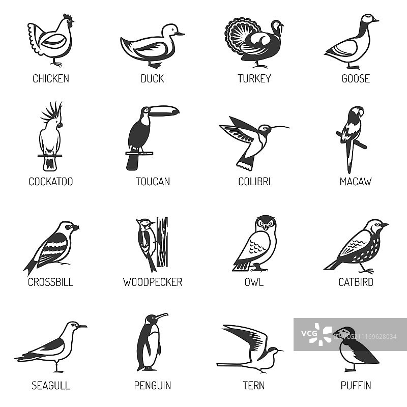 鸟类剪影合集：不同栖息环境鸟类剪影扁平矢量图图片素材