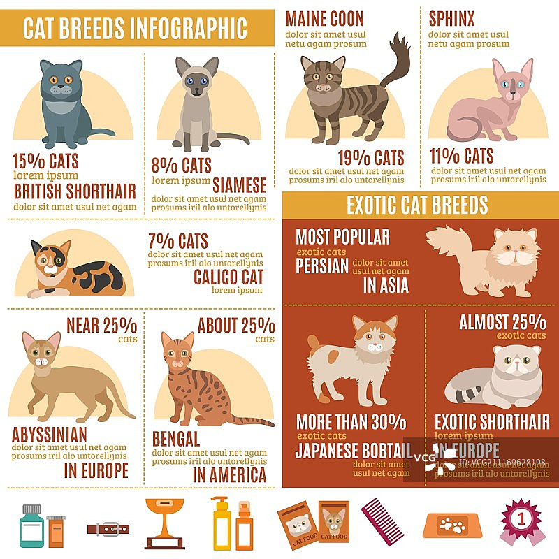 猫咪信息图：包含异国品种图标和宠物护理元素图片素材