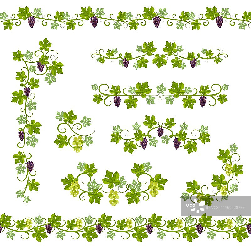 葡萄藤蔓无缝背景图案图片素材