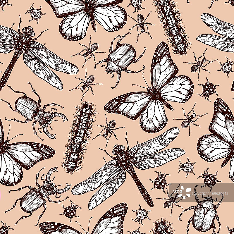 复古手绘昆虫无缝图案矢量插画图片素材