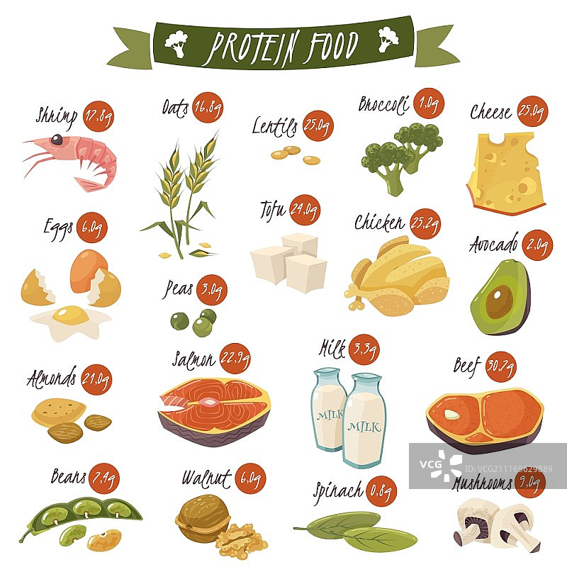 富含蛋白质食物扁平图标套装。包含三文鱼、豆类、杏仁和鸡肉等健康饮食的最佳蛋白质食物图标合集矢量插图图片素材