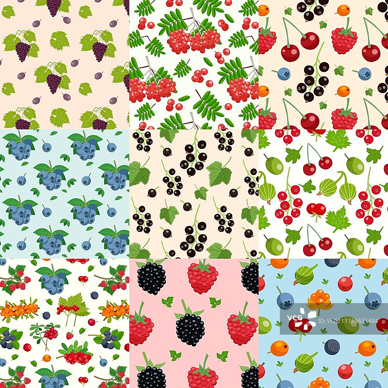 九种浆果无缝图案：红醋栗、黑醋栗、覆盆子、蓝莓等图片素材
