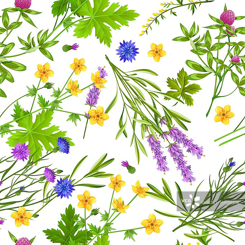 香草和野花无缝图案。白色背景上盛开的香草和野花，如毛茛，矢车菊，薰衣草和三叶草的扁平无缝图案矢量图图片素材