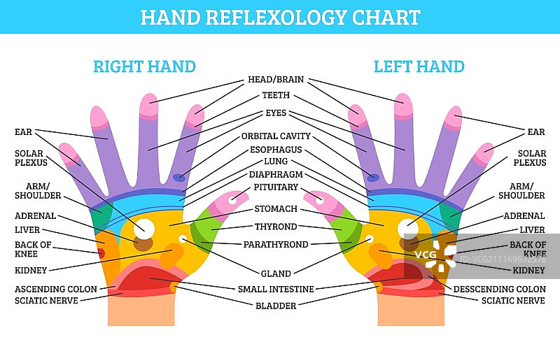 手部反射疗法图图片素材