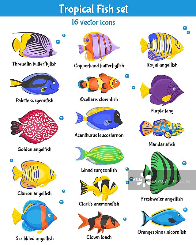 热带鱼图标集。 具有鱼类物种扁平隔离矢量插图的异国情调热带鱼图标集图片素材