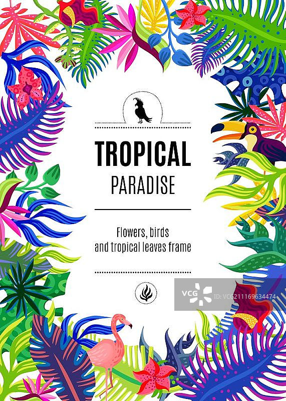 热带天堂边框背景海报：热带异域植物花鸟矩形装饰画矢量背景图片素材