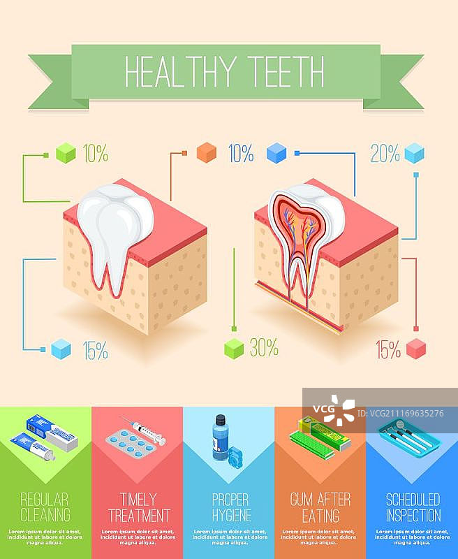 口腔护理信息图海报：牙医信息图与牙龈和牙齿的2.5D剖视图及牙科护理用品图像矢量插图图片素材
