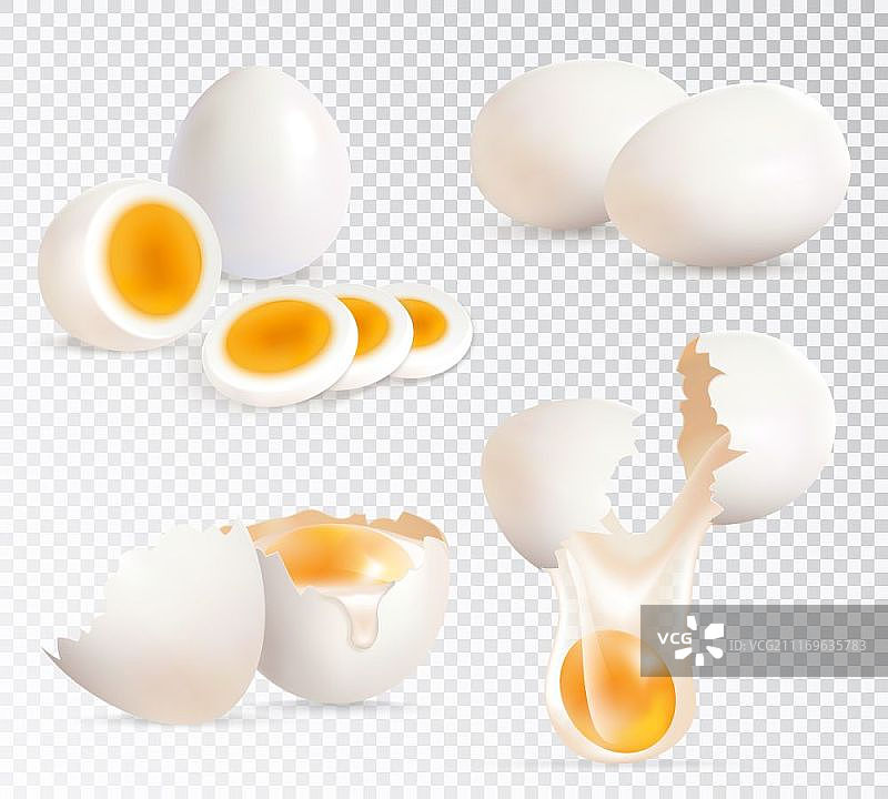 鸡蛋写实组合：水煮蛋和生鸡蛋透明背景矢量图图片素材
