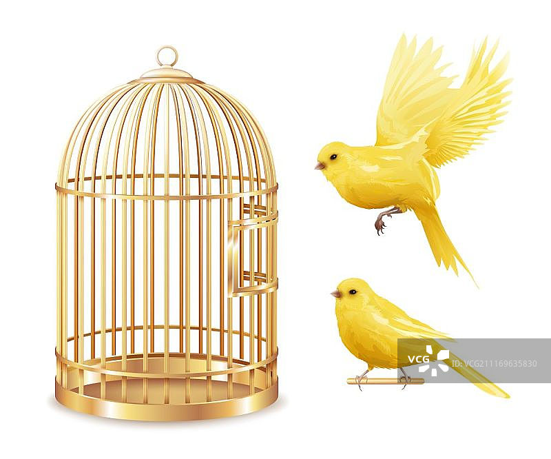 金色金丝雀笼子套装。孤立的空金色笼子和逼真的金丝雀图像在空白背景矢量图上图片素材
