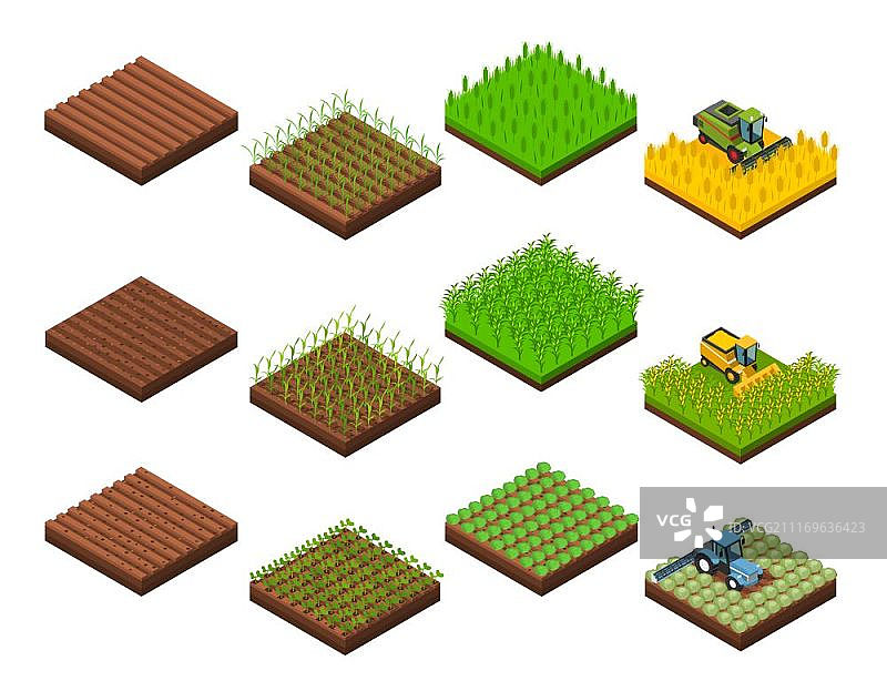 收获工作元素集：农场收获场景，包含不同收获阶段的等距方形田地图图片素材