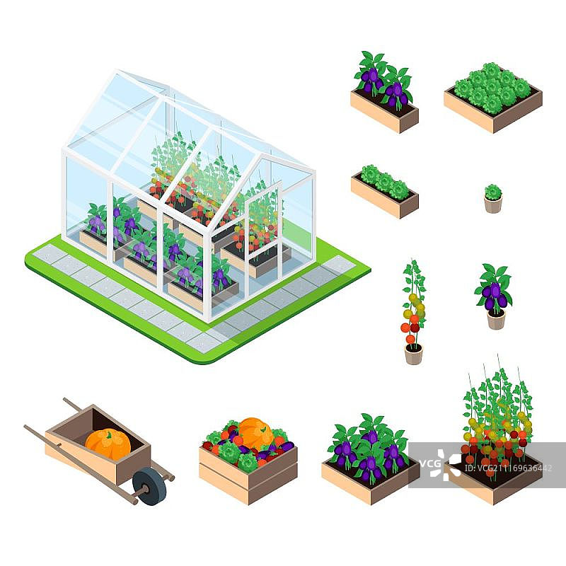 温室植物2.5D矢量插画图片素材