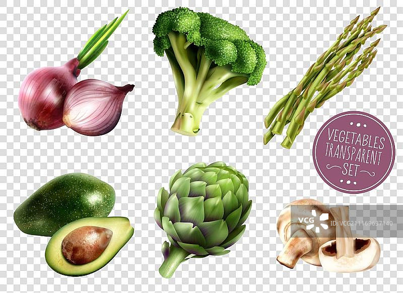 蔬菜透明素材。一组逼真的蔬菜独立图标，透明背景，包括鳄梨、洋葱、西兰花、朝鲜蓟、芦笋、蘑菇矢量图图片素材