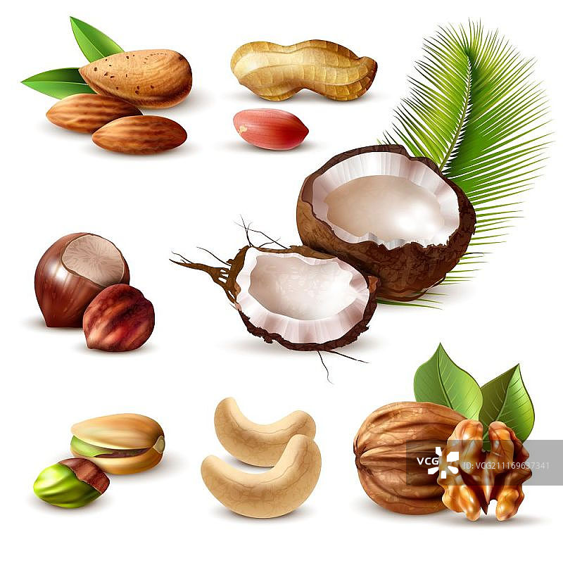 逼真坚果组合图片素材