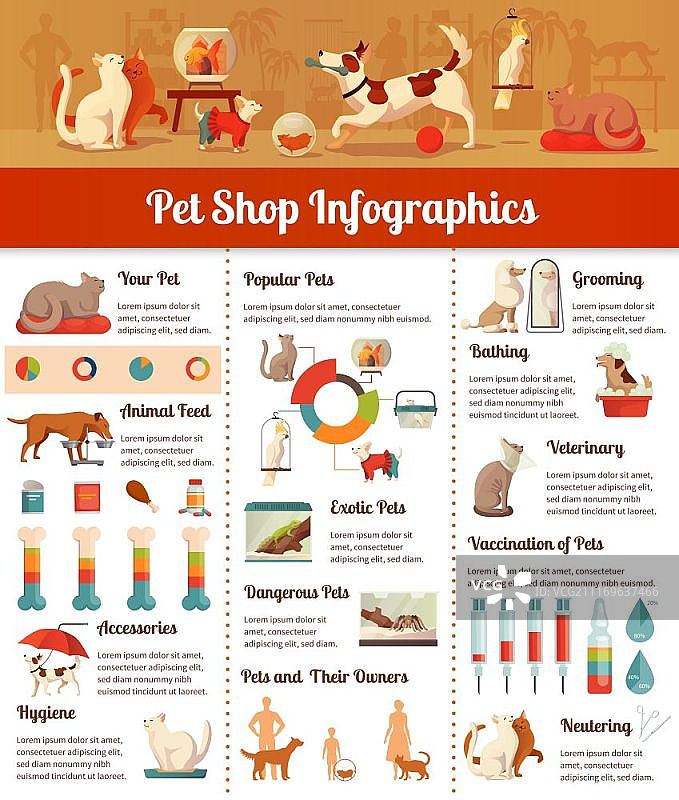 宠物店信息图集：包含兽医和卫生符号的宠物店信息图扁平矢量图图片素材