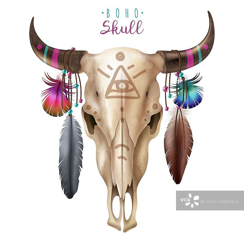 波西米亚风牛头骨图案，白色背景上的写实风格与羽毛装饰矢量素材图片素材