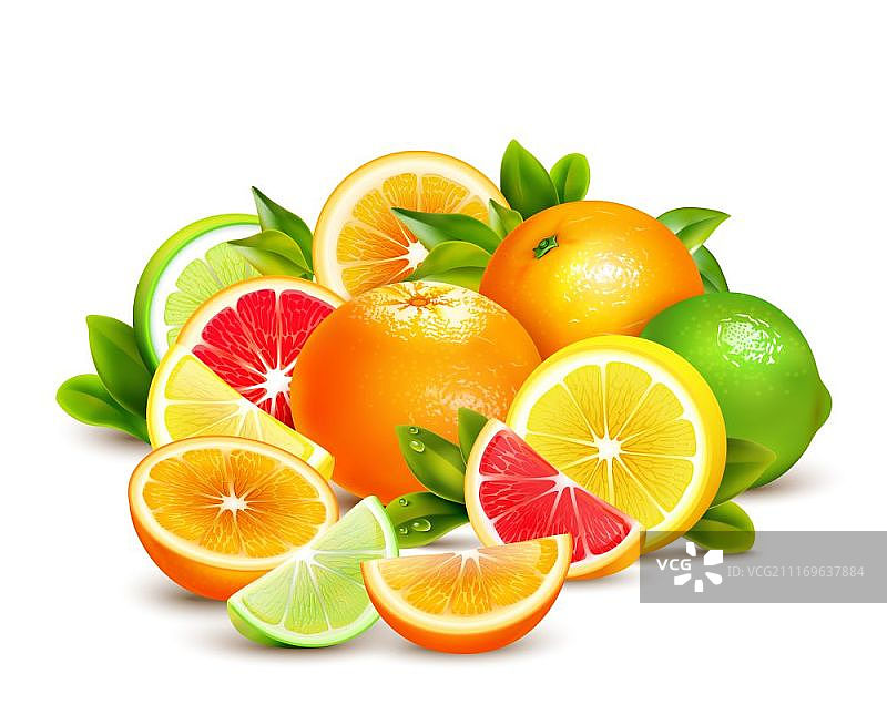 柑橘水果集合写实组合：包含整个、一半和四分之一的彩色柑橘，如酸橙、柠檬、葡萄柚和橙子的写实矢量图图片素材
